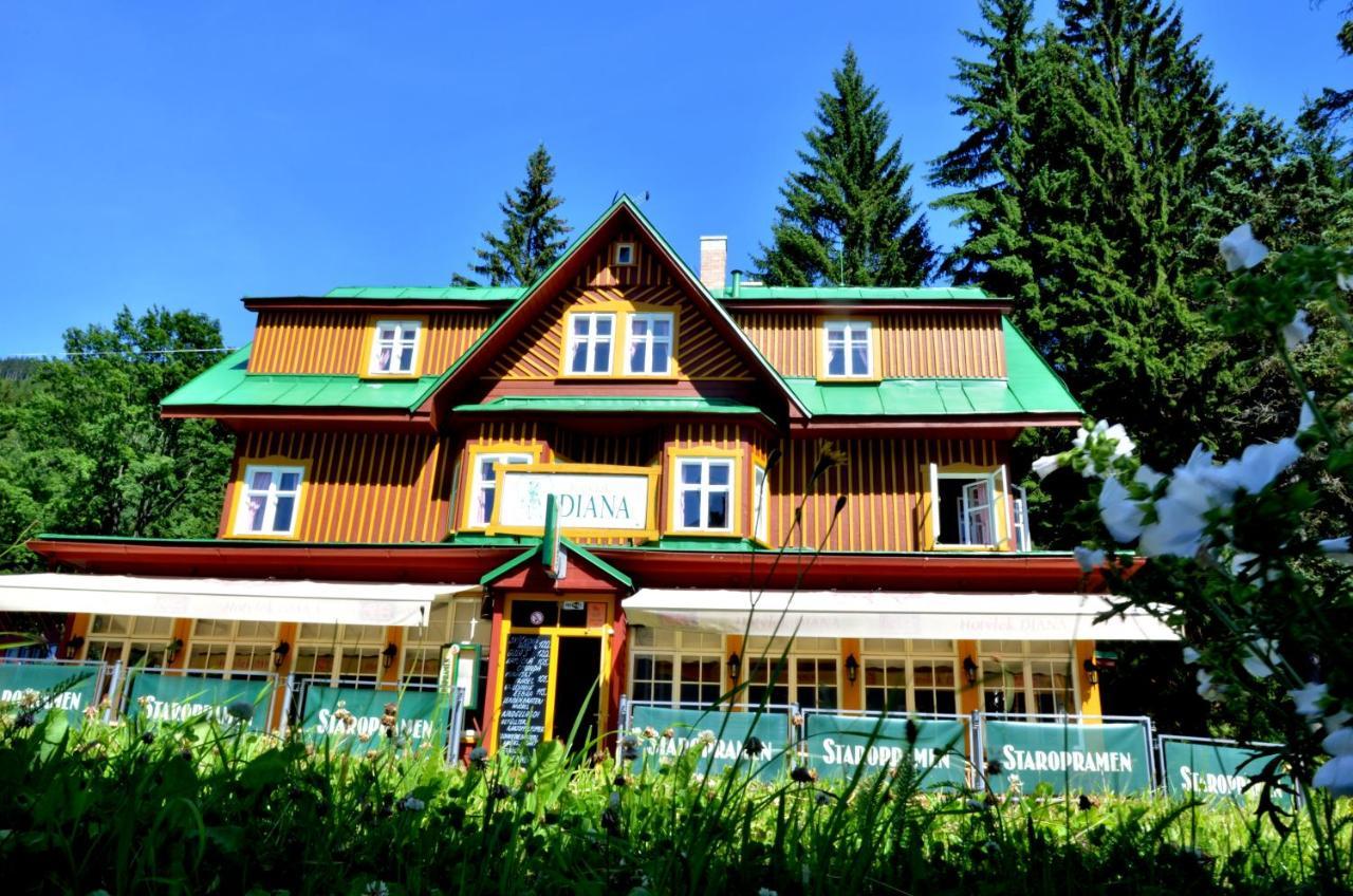 Hotel Diana Spindleruv Mlyn Bagian luar foto